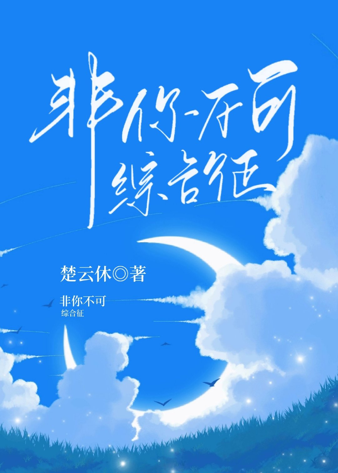 非你不可综合征