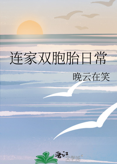 连家双胞胎日常