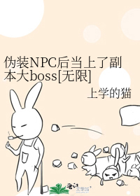 伪装NPC后当上了副本大boss[无限]
