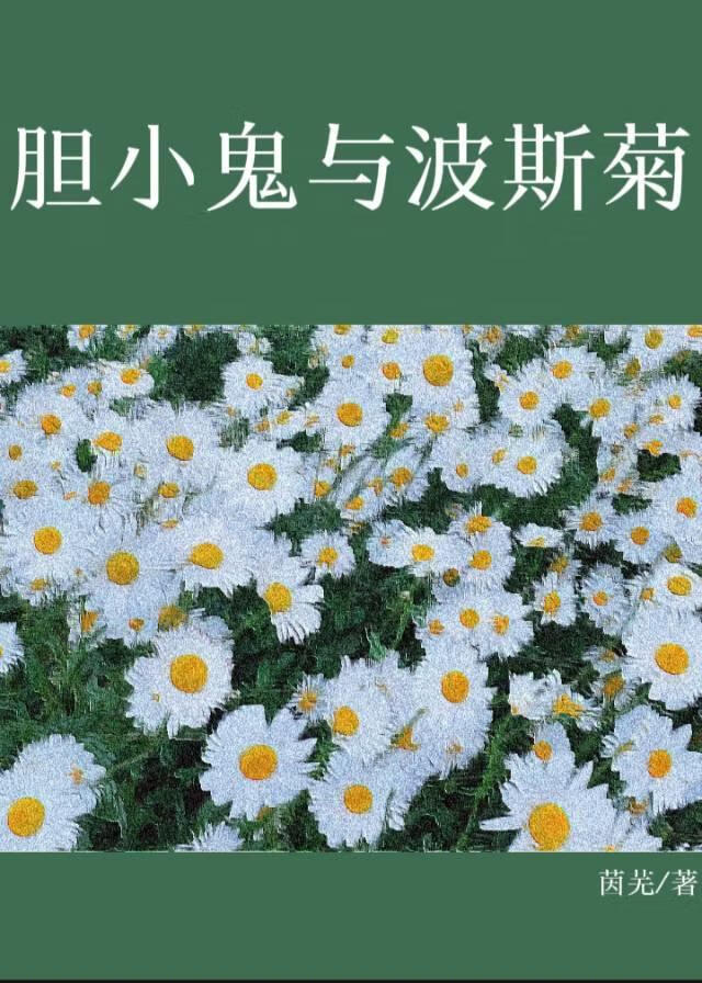 胆小鬼与波斯菊
