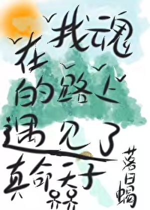 在找魂的路上遇见了真命天子