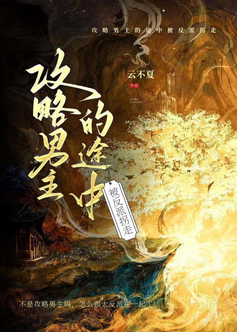 在攻略男主的途中被反派拐走