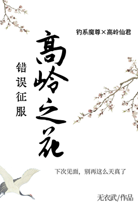 错误征服高岭之花GB