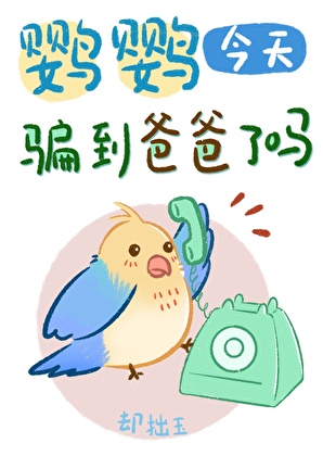 鹦鹦今天骗到爸爸了吗