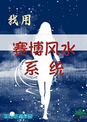 我用赛博风水系统
