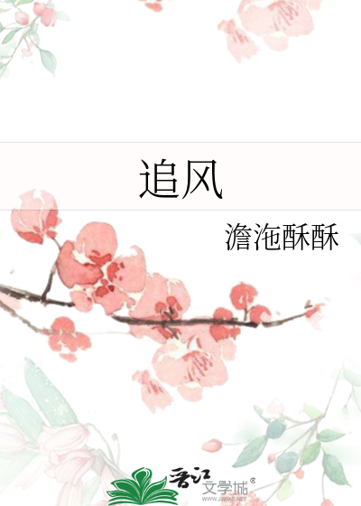 追风