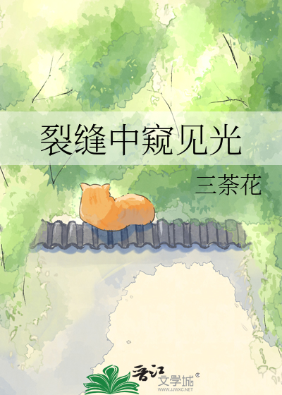 裂缝中窥见光