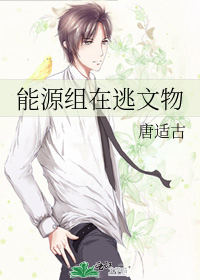 能源组在逃文物