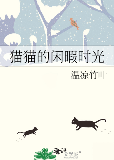 猫猫的闲暇时光