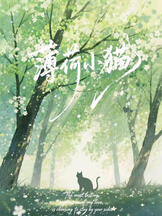 薄荷小猫