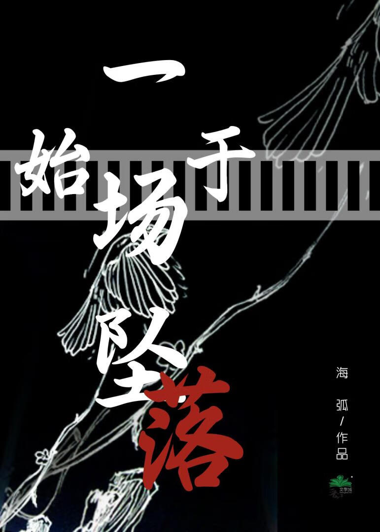 始于一场坠落