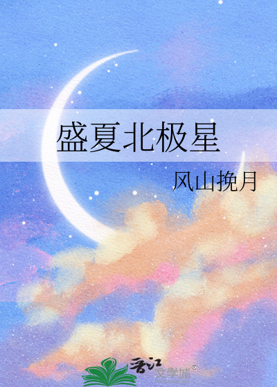 北极星的夏天