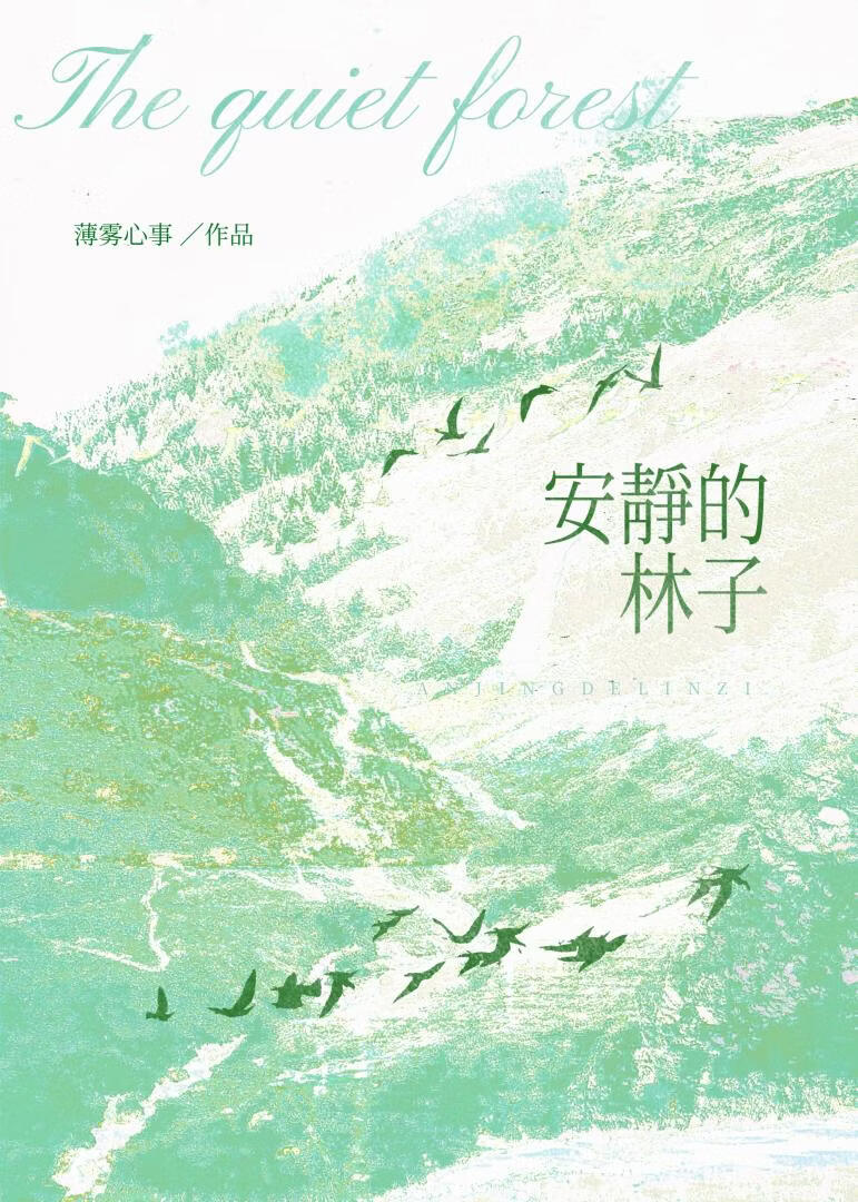 安静的林子