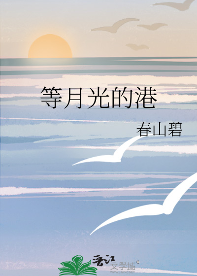 等月光的港