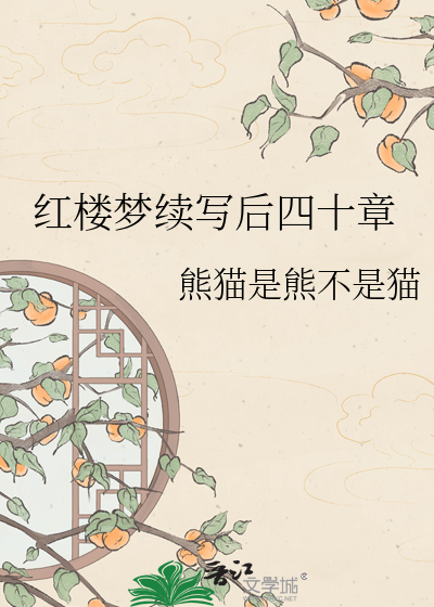 红楼梦续写后四十章