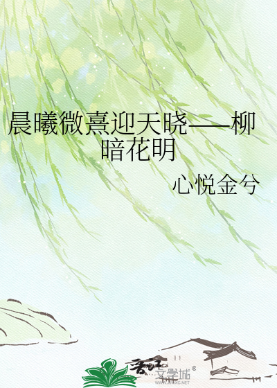 晨曦微熹迎天晓——柳暗花明