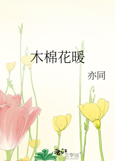 木棉花暖