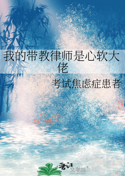 我的带教律师是心软大佬