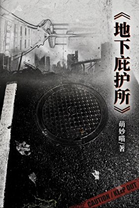 地下庇护所[废土重建]
