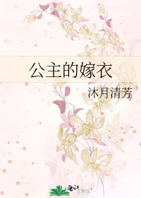公主的嫁衣