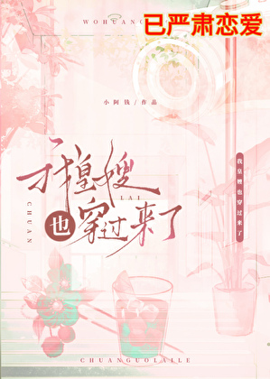 穿越后我和短篇－皇嫂he了