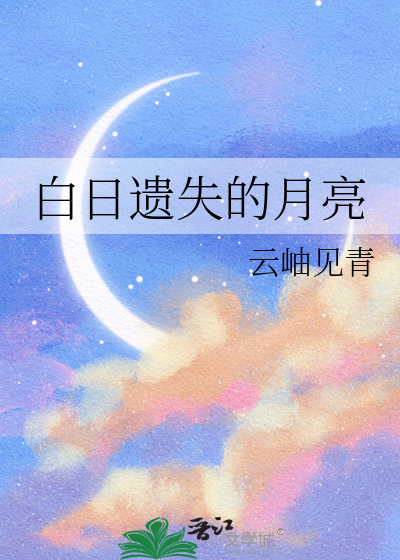 白日遗失的月亮