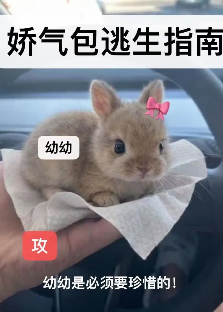 [美恐]娇气包逃生指南