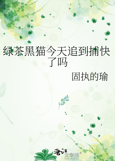 绿茶黑猫今天追到捕快了吗