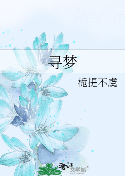 寻梦