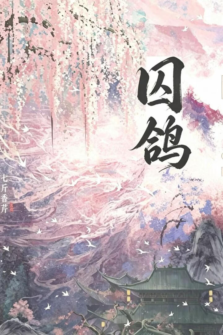 囚鸽