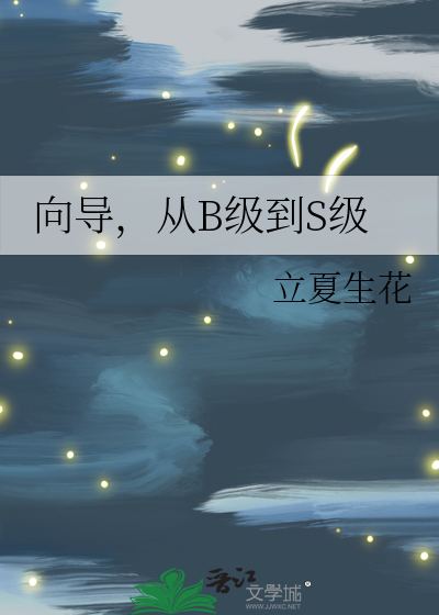 向导，从B级到S级