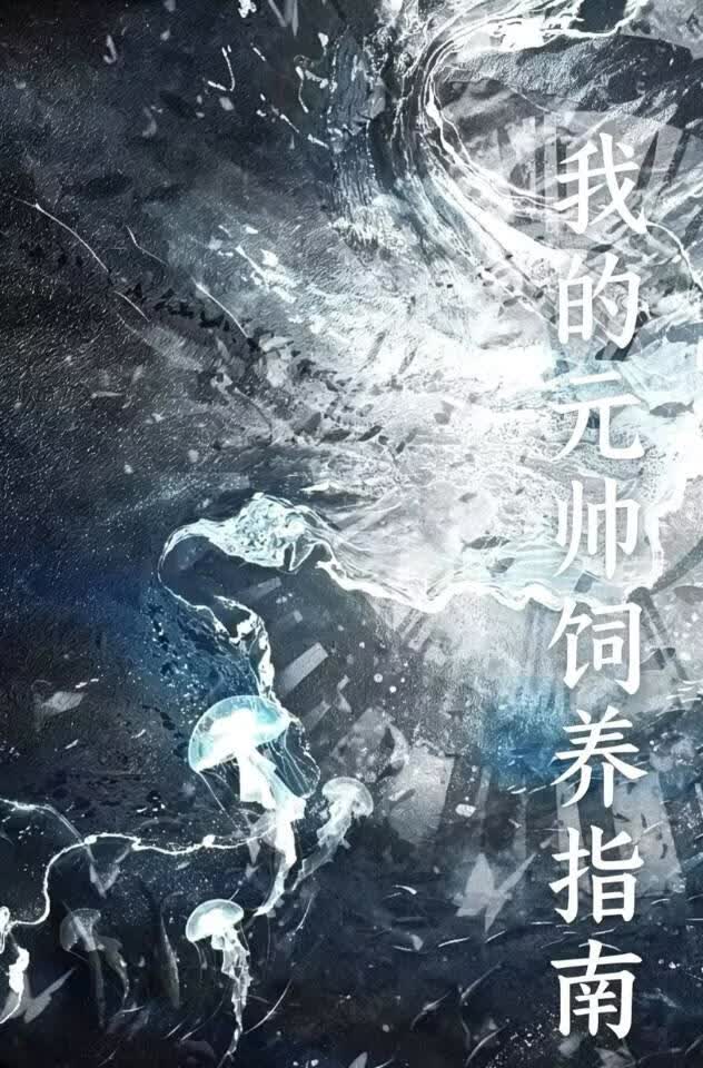我的元帅饲养指南