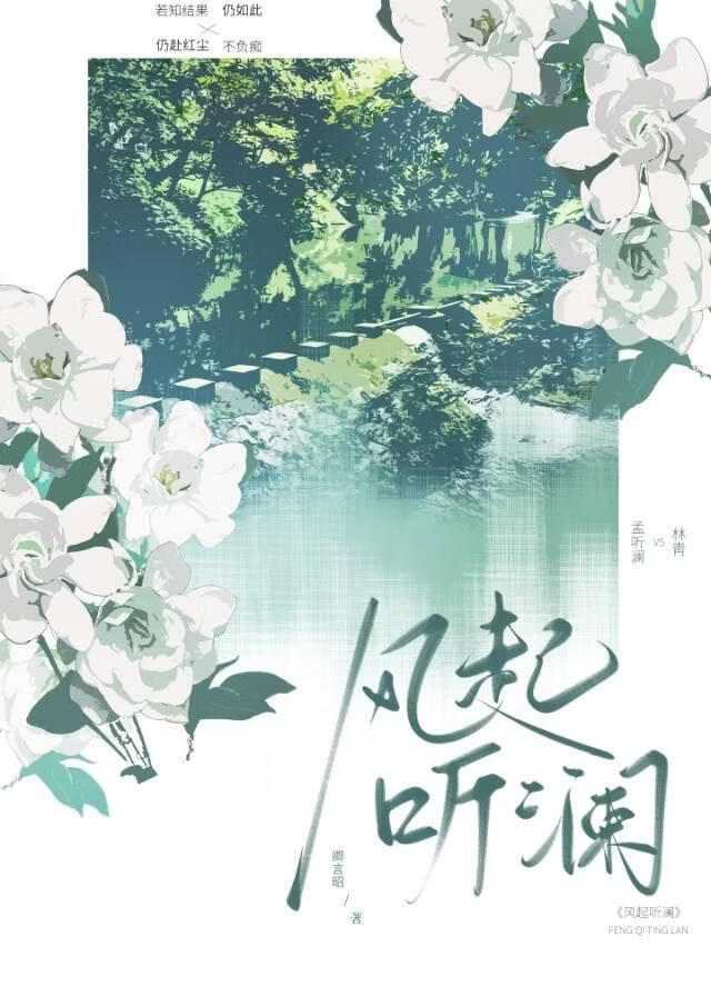 风起听澜
