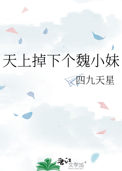 天上掉下个魏小妹