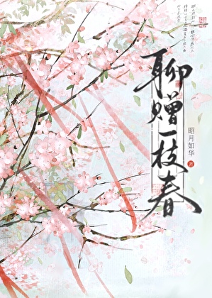 聊赠一枝春