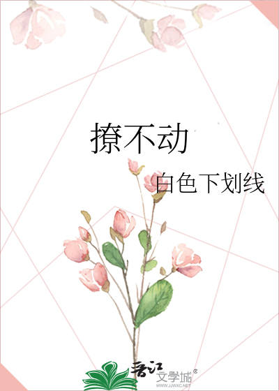 撩不动