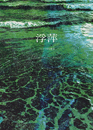 浮萍
