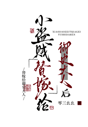 小盗贼替嫁御史大人