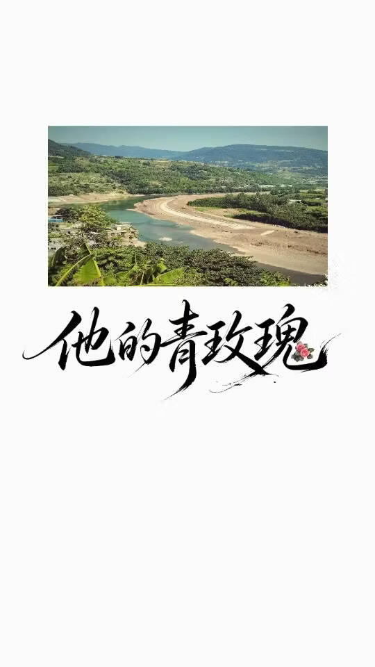 他的青玫瑰