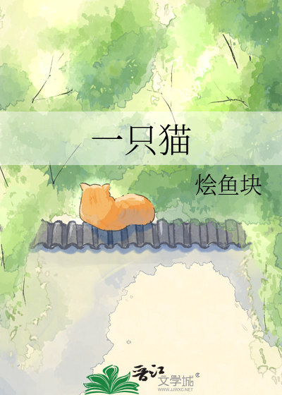 一只猫