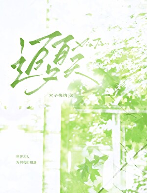 追夏天